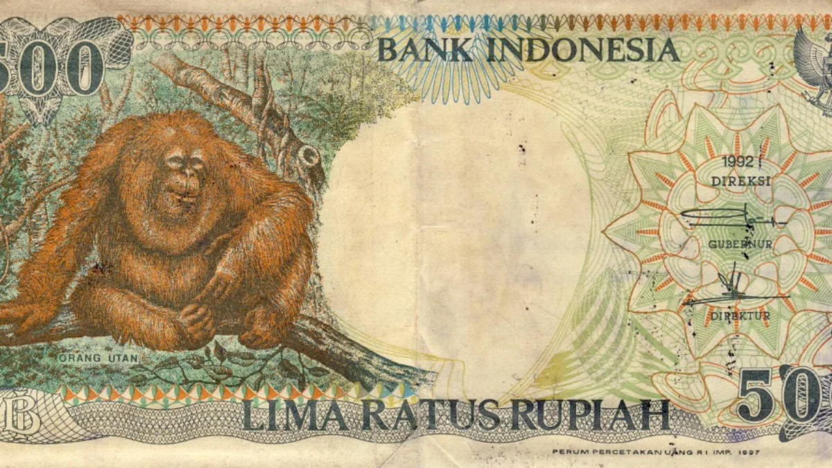 Cara Jual Uang Kuno ke Bank atau Kolektor Agar Untung hingga Puluhan Juta
