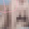 Video 1 Menit 50 Detik Devita Tengger Viral, Netizen Cari Link Asli