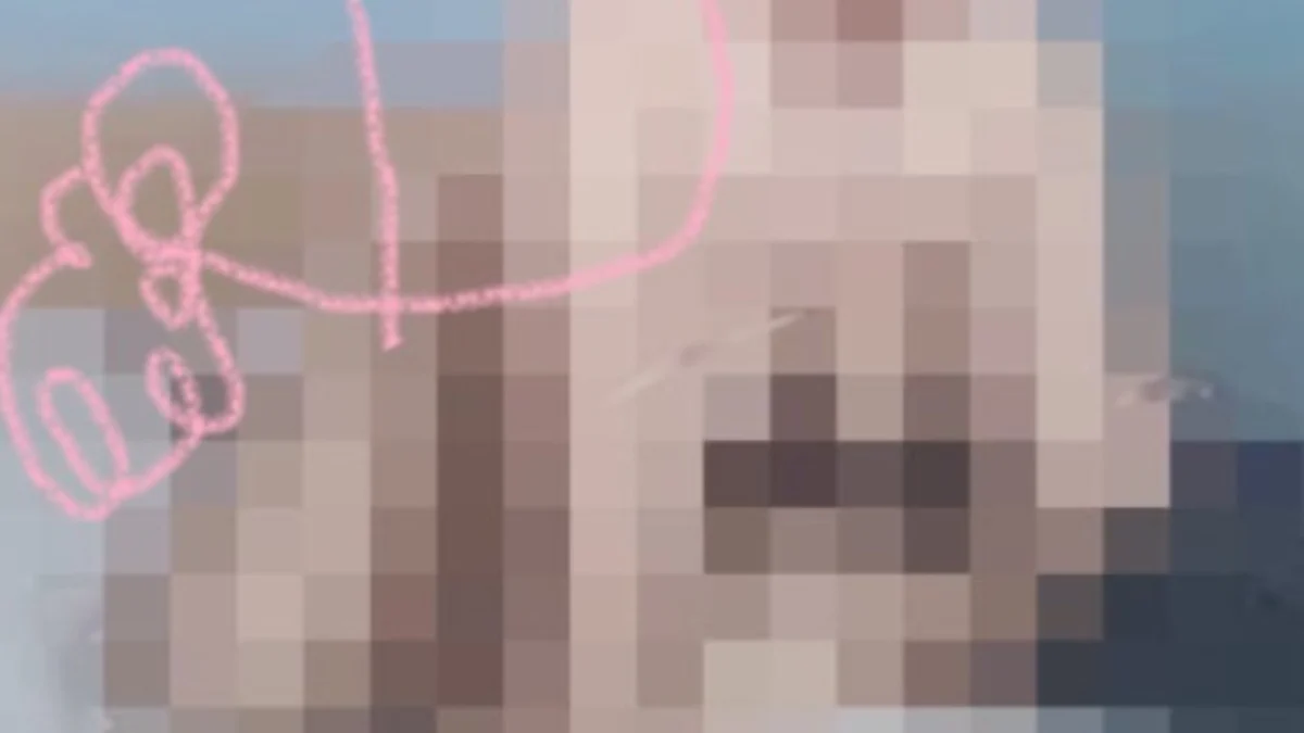 Video 1 Menit 50 Detik Devita Tengger Viral, Netizen Cari Link Asli