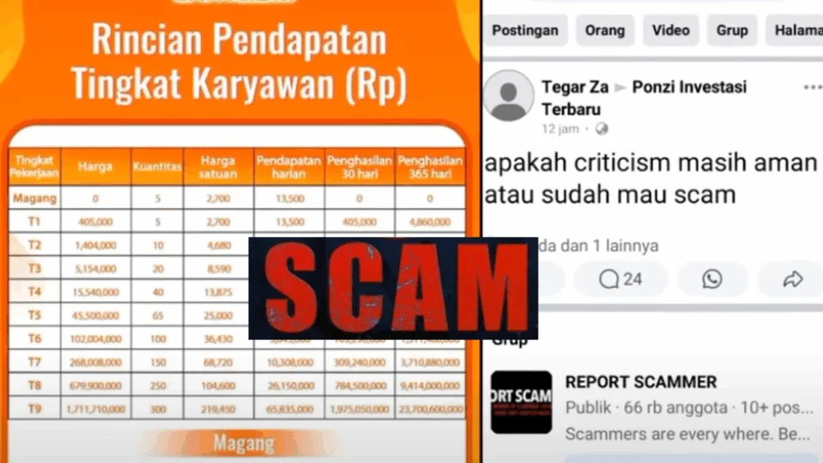 Apakah Aplikasi CRITICISM Penghasil Uang yang Aman? Ini Faktanya