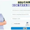 BSU BPJS Ketenagakerjaan Rp600 Ribu Belum Cair? Ini Solusi Cek dan Klaim yang Benar