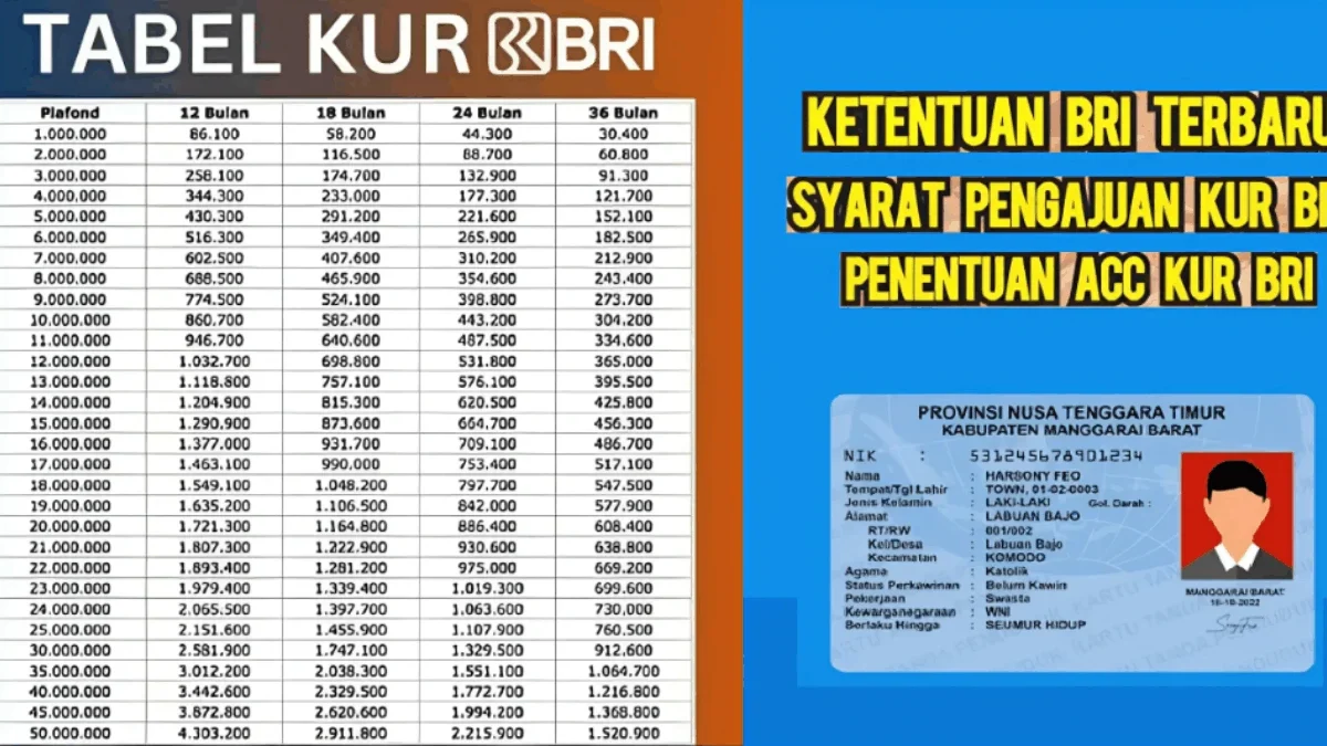 Cara Daftar KUR BRI Online 2025 Cair Hingga Rp200 Juta Pakai KTP