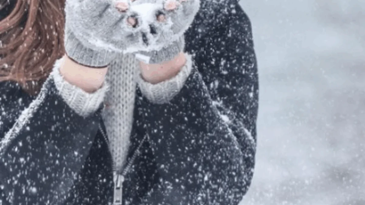 Ilustrasi turun salju(pixabay.com)