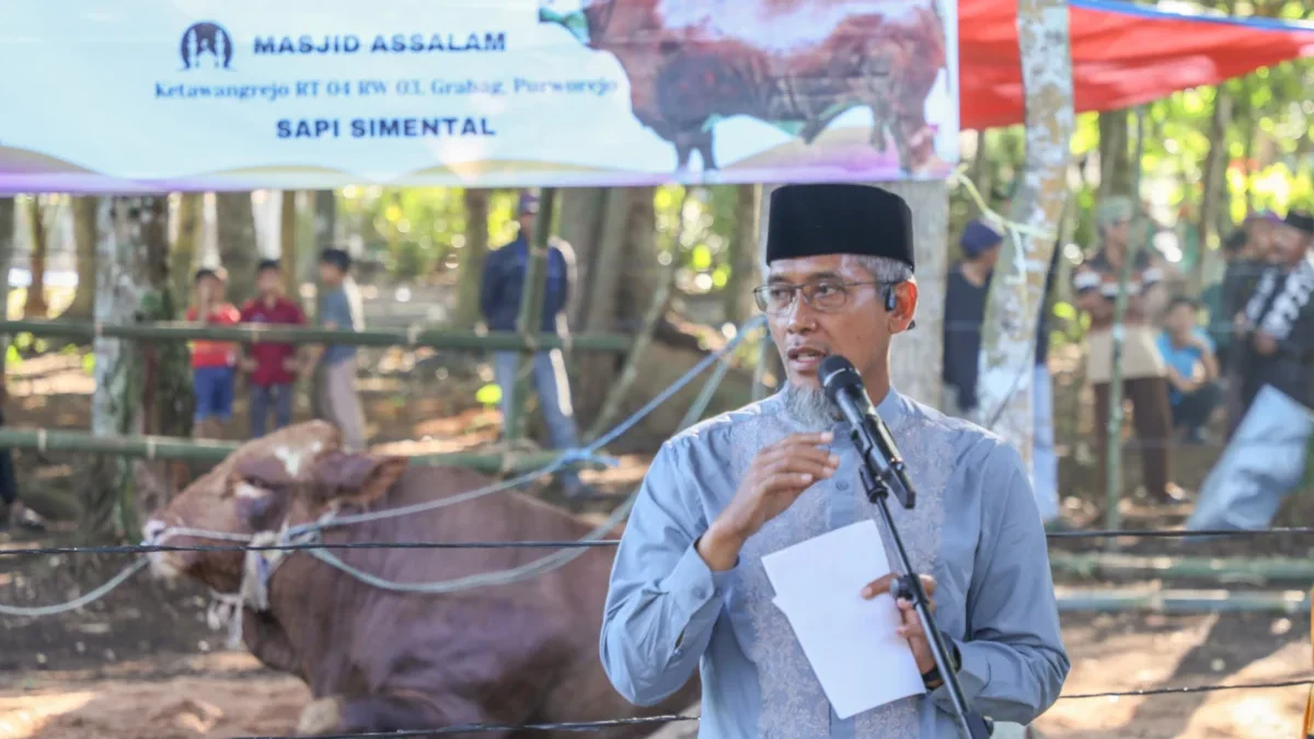 36 Sapi Kurban Presiden RI Dibagi di Jateng, Sekda: Bentuk Apresiasi Peternak Lokal 36 Sapi Kurban Presiden RI Dibagi di Jateng, Sekda: Bentuk Apresiasi Peternak Lokal