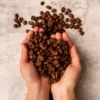 jenis biji kopi