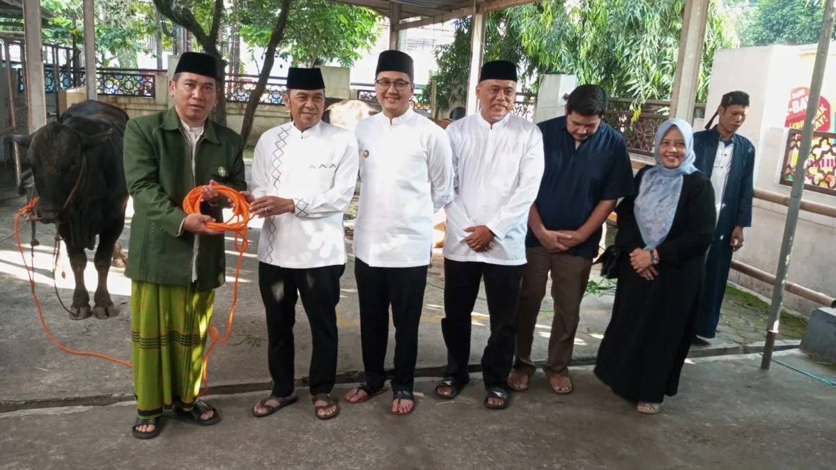 Serah Terima Sapi Presiden Prabowo oleh Wali Kota dan Wakil Wali Kota Cimahi, Ngatiyana-Adithia di Masjid Agung Cimahi (Mong)