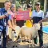 Perwakilan PT DAM saat menyalurkan hewan kurban
