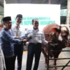 Serah Terima Bantuan Sapi Kurban dari Presiden RI, Prabowo Untuk Kota Cimahi. (Mong / Jabar Ekspres)
