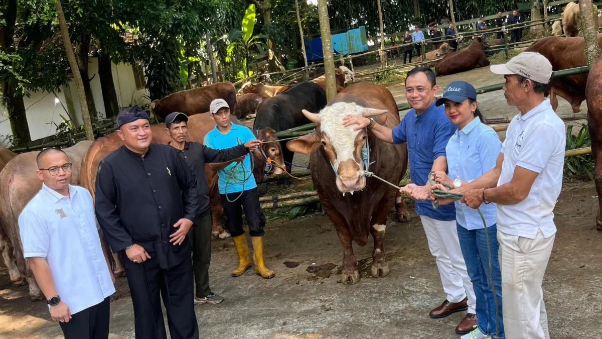 Presiden Prabowo Berikan 58 Ekor Sapi Kurban di Kabupaten Bogor Presiden Prabowo Berikan 58 Ekor Sapi Kurban di Kabupaten Bogor