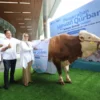 Hari Raya Iduladha 1446H, TelkomGroup Salurkan 946 Hewan Kurban untuk Masyarakat