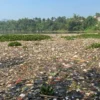 Kondisi Sungai Citarum di Jembatan BBS Batujajar, Bandung Barat. Kamis (12/6). Dok Jabar Ekspres/Suwitno