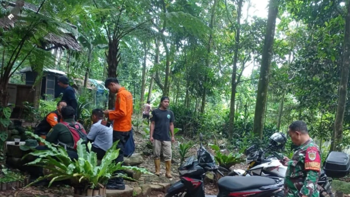 Pendaki Asal Tamansari Hilang saat Mendaki Gunung Salak 1, SAR Gabungan Lakukan Pencarian Pendaki Asal Tamansari Hilang saat Mendaki Gunung Salak 1, SAR Gabungan Lakukan Pencarian