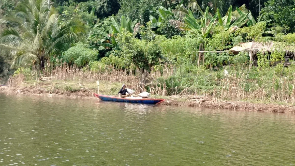 Menteri KKP Sebut Ikan Waduk Cirata Bermerkuri, Pembudidaya KJA Bandung Barat Protes! Menteri KKP Sebut Ikan Cirata Bermerkuri, Pembudidaya KJA Bandung Barat Protes!