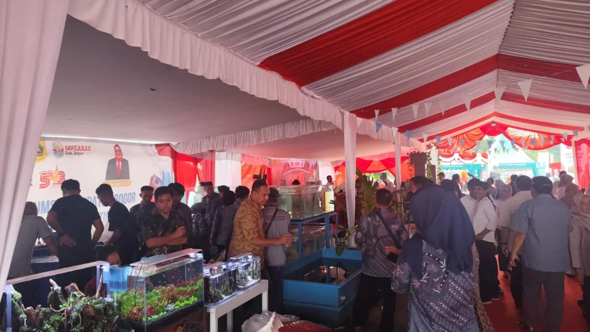Dongkrak Ekomoni Daerah, Perputaran Uang di Kabogor Fest 2025 Capai Rp2,5 Miliar Dongkrak Ekomoni Daerah, Perputaran Uang di Kabogor Fest 2025 Capai Rp2,5 Miliar