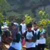 Gersangnya Perbukitan Cimenyan Bandung, Perbaikan Lingkungan Dilakukan Lewat Aksi Tanam 3.000 Pohon Keras