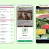 Sudah Tahu? Ini 3 Fitur Baru WhatsApp yang Bikin Bisnis Lebih Mudah