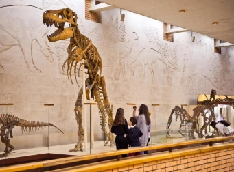 5 Tempat Liburan Murah di Bandung yang Bikin Dompet Aman dan Hati Senang