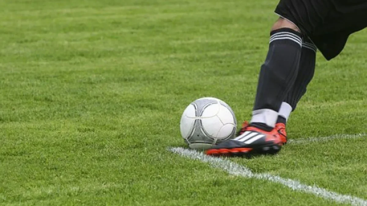 Pemain diaspora komuniksi dengan Persib/Foto: Pixabay/