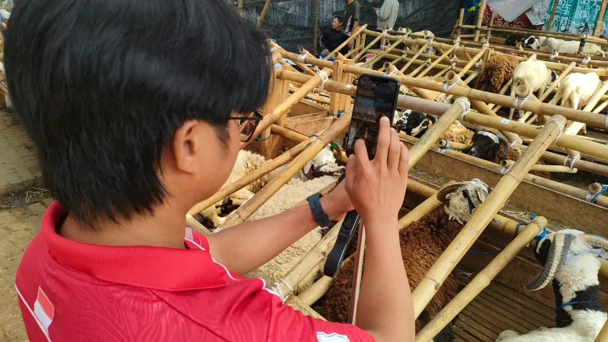 Dok. Salah seorang penjual hewan kurban di Bandung saat promosikan dagangannya lewat live di sosial media. Kamis (5/6). Foto. Sandi Nugraha.