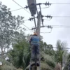 Perkuat Kolaborasi, PLN Icon Plus Intensifkan Penataan Jaringan Fiber Optik