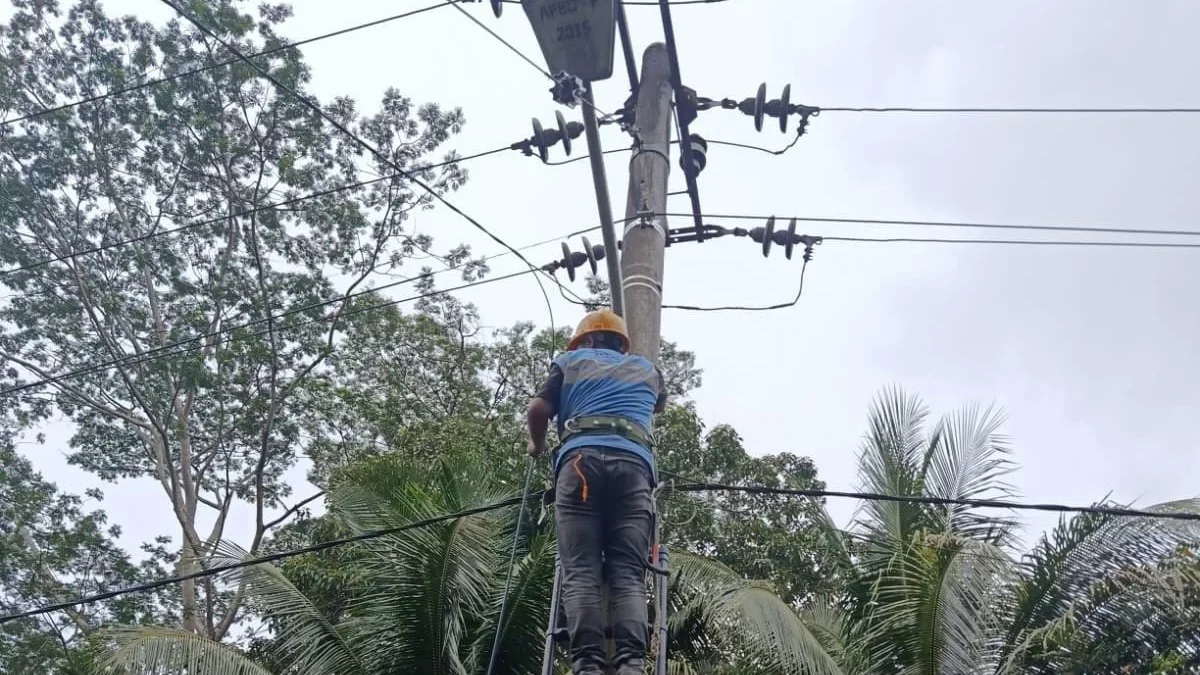 Perkuat Kolaborasi, PLN Icon Plus Intensifkan Penataan Jaringan Fiber Optik