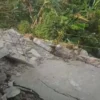 Pergerakan tanah di Purwakarta mendekati Tol Cipularang/Foto: Istimewa/