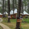Wisata alam dan penginapan di TWGC Lembang, Bandung Barat. Dok Jabar Ekspres/Suwitno