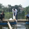 Ketua DPRD Kabupaten Bogor Satra Winara Tebar Bibit Ikan Nila