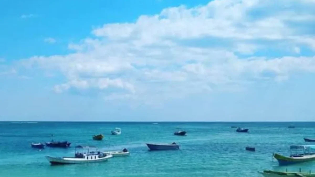 Mengenal Pulau Rote: Cantiknya Ujung Selatan Indonesia yang Tak Banyak Orang Tahu Mengenal Pulau Rote ( Sumber Gambar: Dokumentasi Pribadi)