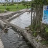 Sejumlah anak bermain air di saluran irigasi tersier yang dibangun menggunakan dana desa di Desa Binangga, Sigi, Sulawesi tengah. (foto/ANTARA)