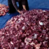 Ilustrasi daging kurban. (foto/ANTARA)