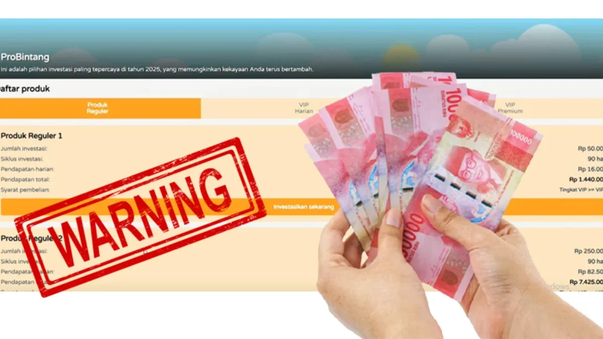 Fakta Aplikasi ProBintang Skema Ponzi