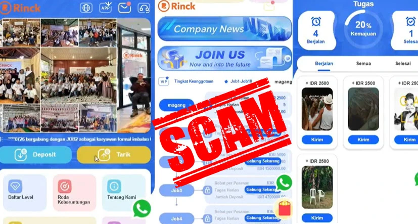 Aplikasi Rinck Terbongkar Skema Ponzi