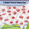 5 Bagian Daging Sapi Paling Lezat dan Bergizi