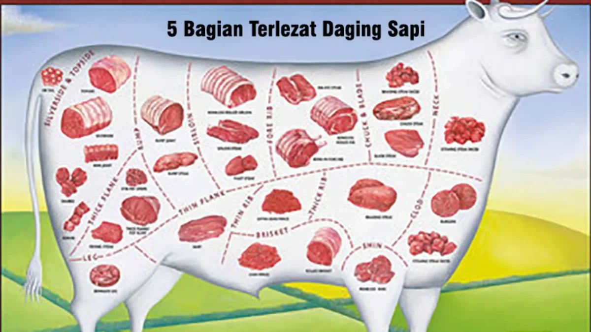 5 Bagian Daging Sapi Paling Lezat dan Bergizi