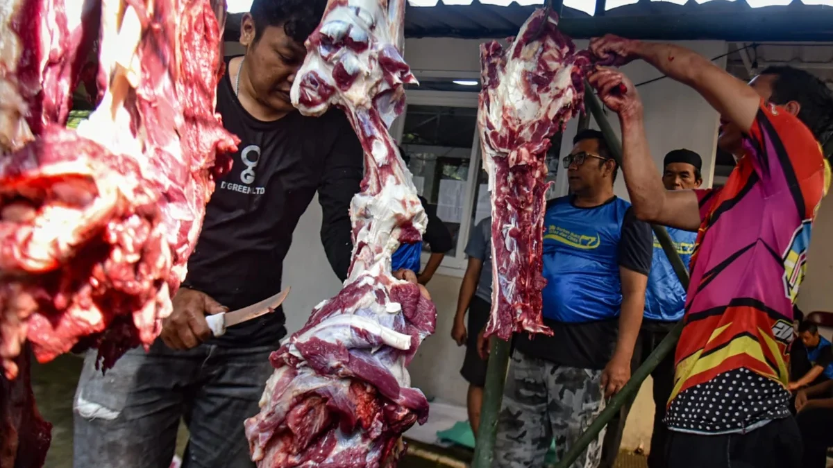 Warga memotong daging sapi kurban di Masjid Al Muttaqiin, Jalan Hasan Saputra l, Kota Bandung, Jumat (6/6). Foto: Dimas Rachmatsyah / Jabar Ekspres