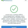 Lolos Verifikasi Tapi Dana BSU Belum Cair? Begini Cara Mengatasinya