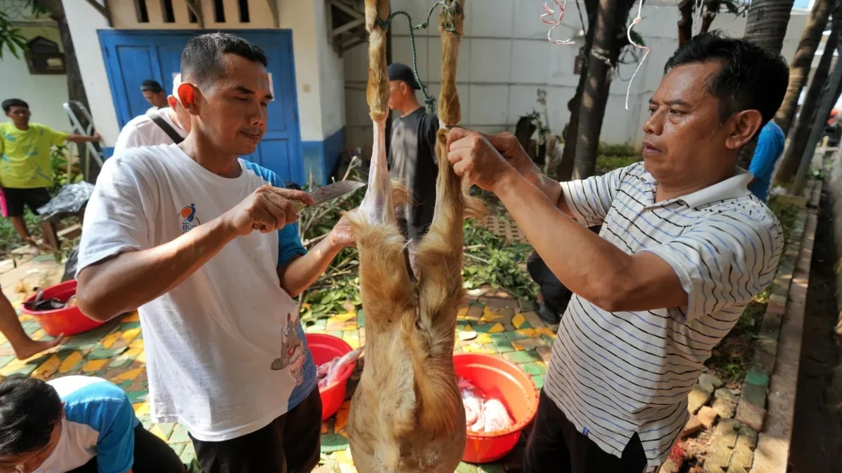 Berbagi Berkah dan Kebahagiaan Idul Adha, PGN Group Bagikan 955 Hewan Kurban untuk Masyarakat Berbagi Berkah dan Kebahagiaan Idul Adha, PGN Group Bagikan 955 Hewan Kurban untuk Masyarakat