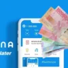 Trik Ampuh Memunculkan Fitur Dana PayLater