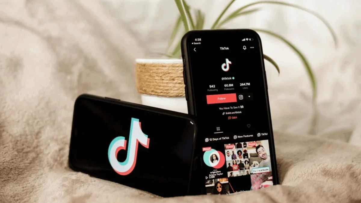 Download Video TikTok Mudah