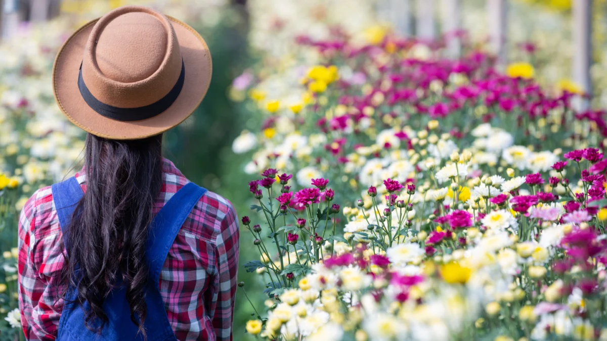 5 Wisata Alam Garut Paling Populer 2025, Instagramable Banget!