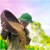 Jaga Daya Beli Masyarakat, Pemerintah Tekan Percepatan Stabilisasi Harga Beras