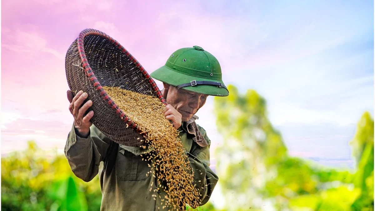 Jaga Daya Beli Masyarakat, Pemerintah Tekan Percepatan Stabilisasi Harga Beras