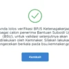 Inilah Alasan Kenapa Pencairan BSU BPJS Ketenagakerjaan Terlambat