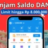 Limit Sampai Rp8 Juta! Cara Pinjam DANA 2025