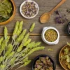 Tanaman Obat Apa Saja yang Paling Bermanfaat?( Sumber Gambar: Freepik)