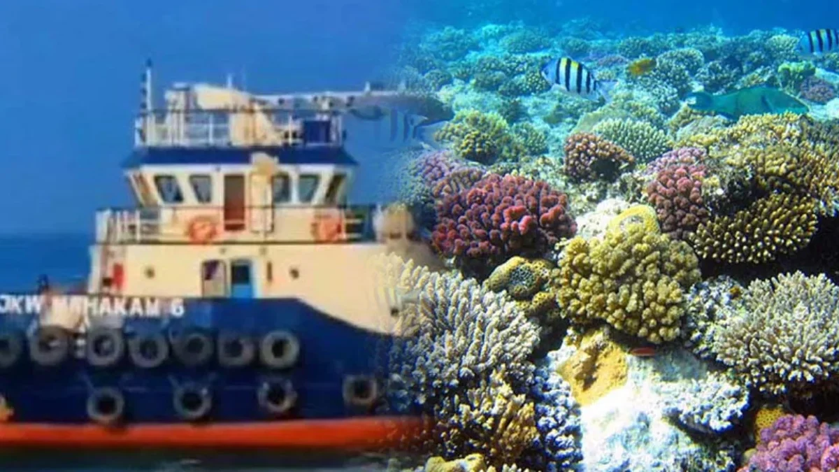 Hancurnya Terumbu Karang Raja Ampat