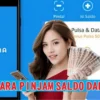 Cara Pinjam Saldo DANA Rp800 Ribu Tanpa KTP, Langsung Cair Gak Sampai 2 Menit