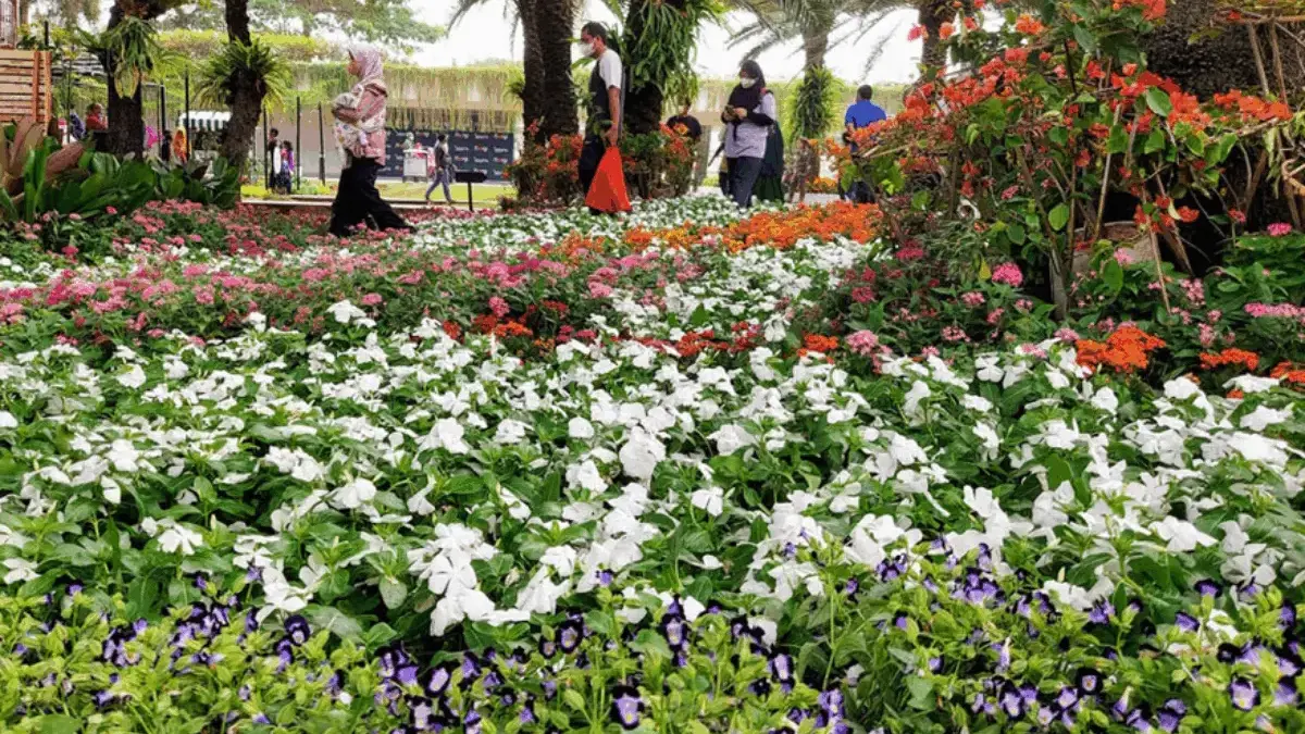 Yuk, Ramaikan Flona 2025 Jakarta, Catat Tanggalnya Gratis