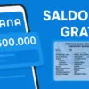 Tiba-Tiba Masuk Saldo DANA Rp600.000, Cek dan Ambil Sebelum Akhir Juli